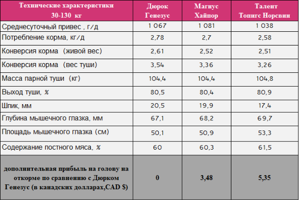 Талент вакансии. Конверсия корма. Конверсия корма в свиноводстве. Конверсия корма у кроликов. Конверсия корма у свиней.