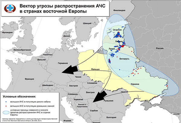 Вектор угрозы распространения АЧС в странах Восточной Европы