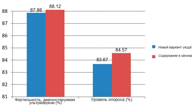 Рисунок 7. Сравнительные результаты среди первородящих свиноматок с декабря 2015 по июнь 2016  (*свиноматки в клетках от отъема до 28 дня беременности).