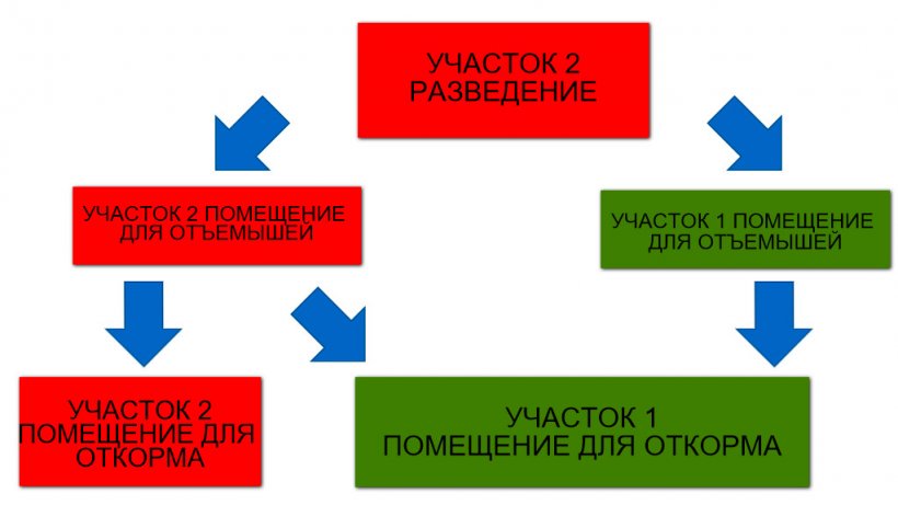 Рисунок 1: Схематическая иллюстрация двух производственных участков потока свиней.
