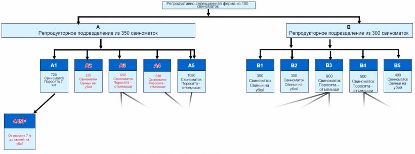 Рис. 1. Структура компании &ndash; стада, выделенные красным цветом, все испытали воздействие отечной болезни в течение 2015/6.
