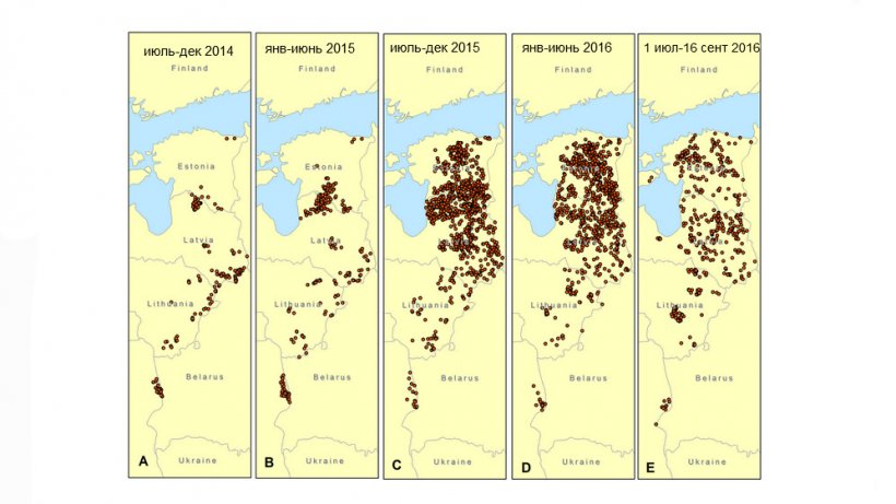 Evolution of ASF in wild boar in the Baltic states and Poland from July 2014 to September 2016
