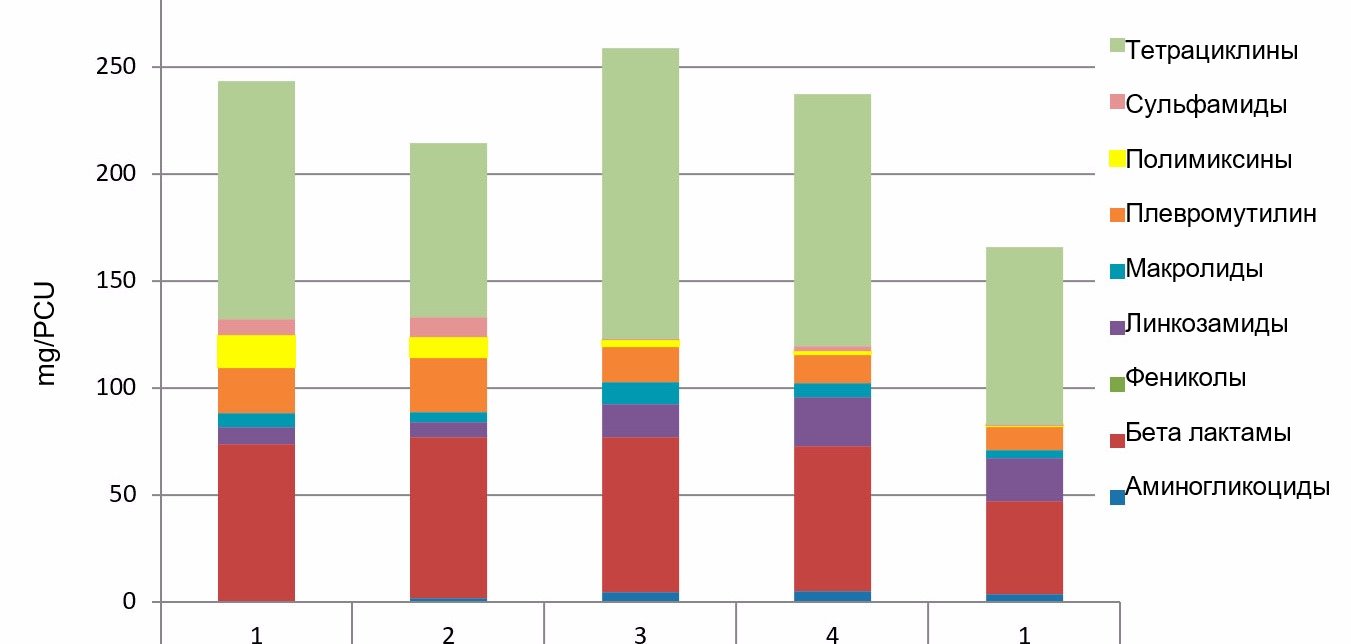 Рациональное использование антибиотиков: возможность для свиноводства -  Статьи - pig333.ru, от фермы к рынку