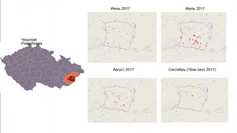 Расположение и рост вспышек АЧС
