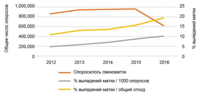 Рис.1. Общее число опоросов, включенных в анализ, и динамика выпадений матки у свиноматок: в % на 1000 опоросов или к общему количеству отхода свиноматок на фермах.
