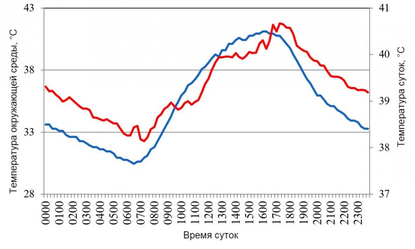 Рис. 1. Изменения температуры тела (красный) свиней, размещенных в условиях теплового стресса, в ответ на изменения температуры окружающей среды (синий) в течение типичного дня летом 2015 года в долине Мехикали (Cervantes et al., 2017 ).
