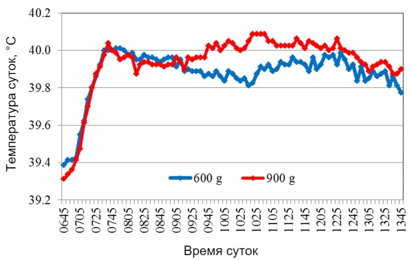 Рис. 2. Средняя температура тела после кормления зафиксирована в 07: 00.
