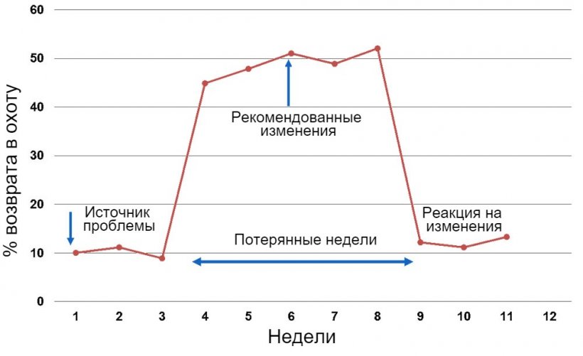 График 1. Еженедельный отчет по ИО или естественной случке.
