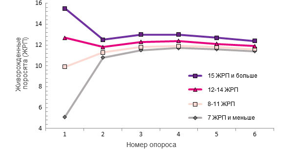 Показатели свиноматки за весь период ее использования, в привязке к числу ЖРП при первом опоросе.
