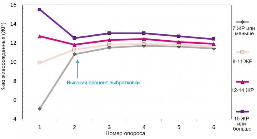 Диаграмма 1. Продуктивность свиноматки за период ее использования, в зависимости от количества родившихся поросят.
