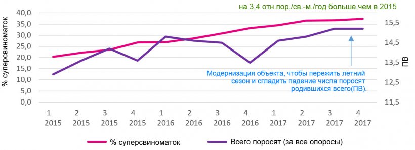 Диаграмма 3. Процент суперсвиноматок и число поросят, рожденных всего.
