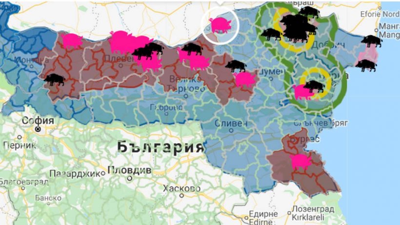 Ферма с 40 000 животных, расположенная около границы с Румынией&nbsp;
