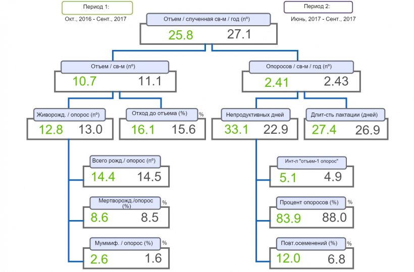 Рисунок 1. &quot;Дерево продуктивности&quot;, сравнивающее два периода &quot;отъем/слученная&nbsp;свиноматка&quot; в год.

