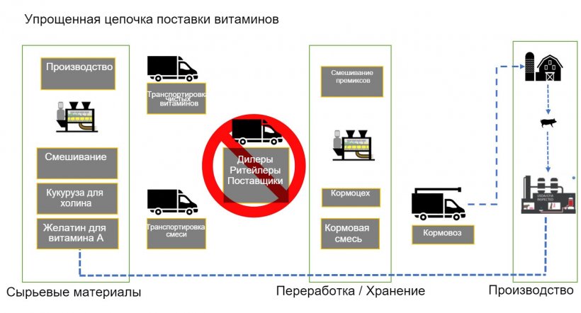 Рисунок 1. Общее описание цепочки поставок витаминов для корма животных.
