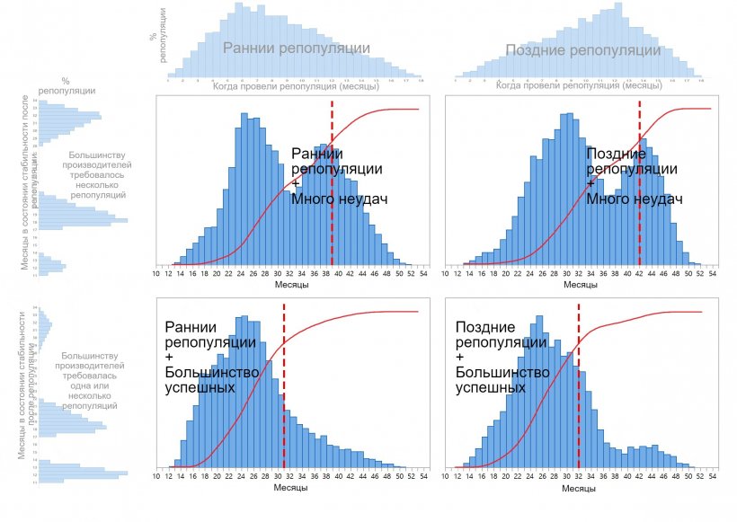 График1. Четыре различных схемы репопуляции свиней, описанные в зависимости от того, когда было принято решение о репопуляции (рано/поздно - верхняя часть графика) и время, необходимое для восстановления полного производства&nbsp;(одна&nbsp;или несколько попыток - левая часть графика). Распределение времени на восстановление показаны красным, красные пунктирные линии отражают количество месяцев, необходимых до 80%-го восстановления поголовья&nbsp;
