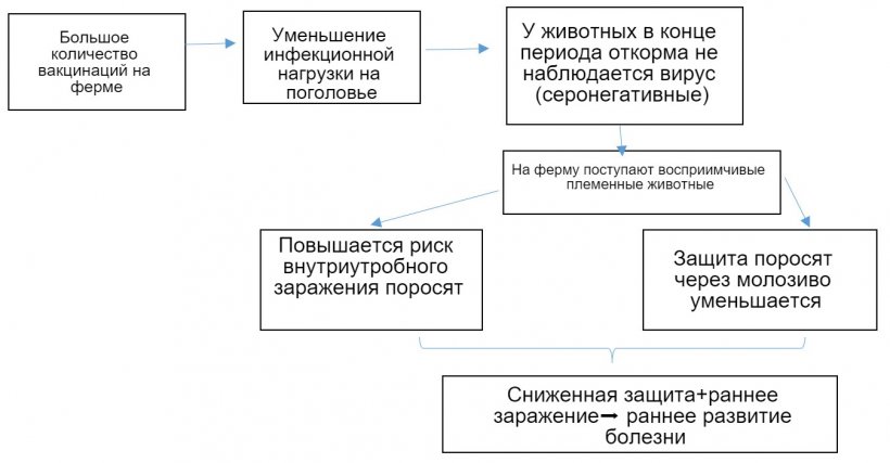 Рисунок 1: Развитие эпидемиологии инфекции ЦВС-2 в контексте регулярной вакцинации&nbsp;
