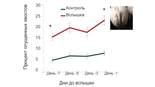 График 1. Доля опущенных хвостов в соответствие с днями до вспышки
