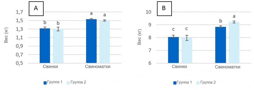 График 2. Вес поросят при рождении (A) и при отъеме (28 день лактации (B) от свинок и свиноматок, которым давали максимум 2,8 кг/день (Группа 1) и 4,20 кг/день (Группа 2) корма в течение нескольких дней перед опоросом.
