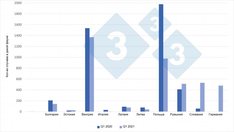 Случаи АЧС в дикой фауне (1 кв 2021 vs. 1 кв 2020)
