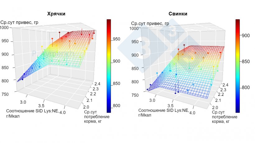 Рисунок 1. Моделирование влияния отношения лизина к энергии и среднесуточного потребления у всех хрячков и свинок от 70 до 105 кг живого веса.&nbsp;(Aymerich и др., 2020).
