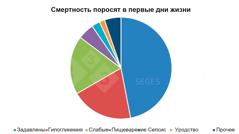 График 1. Этиология смертности поросят в первые несколько дней жизни&nbsp;(SEGES, 2017).
