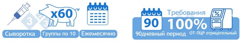 Категория II Положительная Стабильная. ВАРИАНТ&nbsp;1) Сыворотка 60 поросят-отъемышей тестировалась в группах по 10 образцов. Для перехода в эту категорию все партии за 90-дневный период должны быть отрицательными при ОТ-ПЦР на вирус РРСС.
