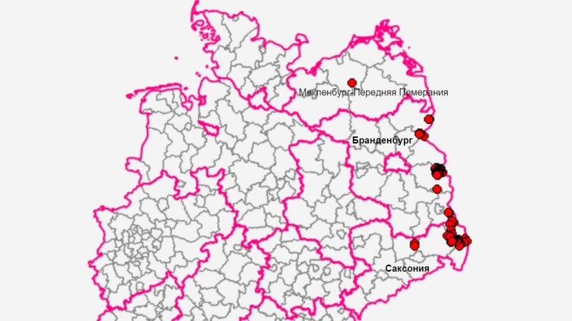 Земли в Германии, в которых обнаружена АЧС. Источник: FLI.
