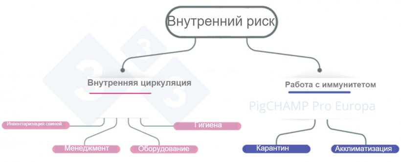 Фото 3. Диаграмма, анализирующая основные внутренние факторы риска во время посещения фермы.
