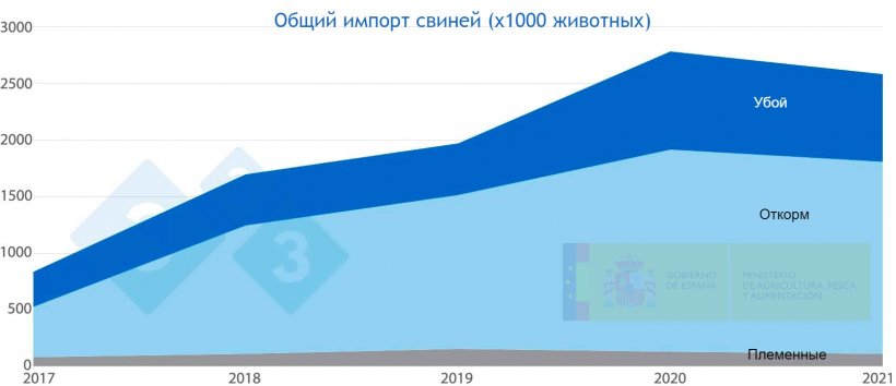 Фото 4. Общий импорт свиней в Испанию с&nbsp;2017 по&nbsp;2021. . Источник: MAPA.
