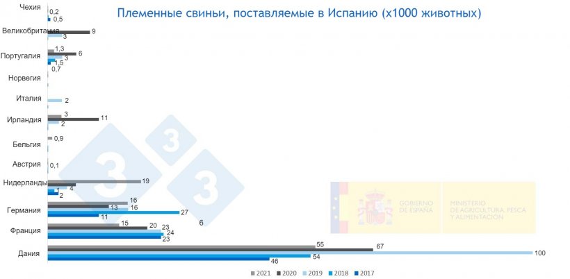 Фото 2. Племенные свиньи, поставляемые в Испанию с 2017 по 2021. Источник: MAPA.
