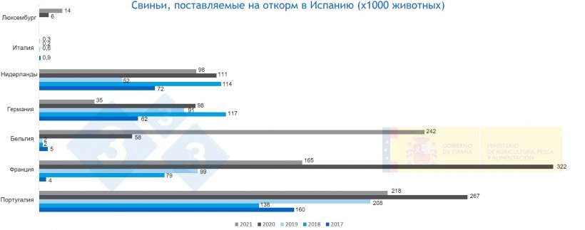 Фото 3. Свиньи, поставляемые на откорм в Испанию&nbsp;Источник: MAPA.
