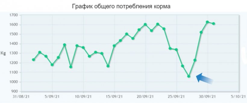 Фото 5: Снижение потребления наблюдается в хозяйстве до появления симптомов респираторных заболеваний. Раннее выявление проблемы позволило улучшить результаты лечения.
