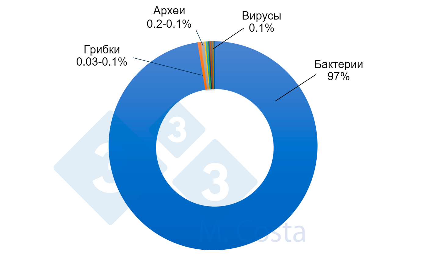 Текущие ограничения изучения микробиоты свиней - Статьи - pig333.ru, от  фермы к рынку