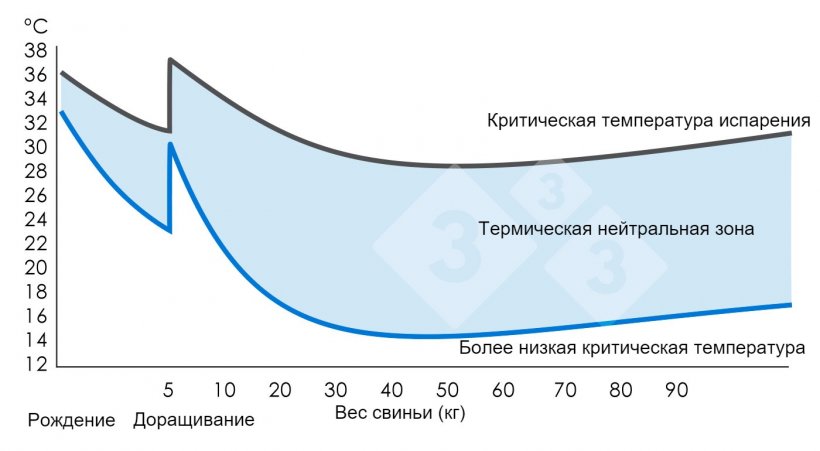 График 1. Термическая нейтральная зона или зона теплового комфорта (там, где свинья чувствует себя комфортно). Министерство сельского хозяйства, рыболовства и продовольствия (1983 г.). Свинья Окружающая среда. Великобритания: MAFF. (Том 2410).
