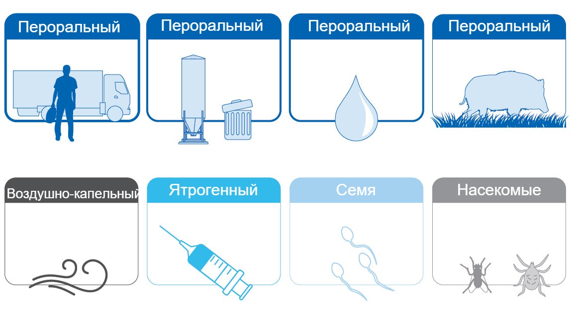 COVID-19: механизмы и пути передачи, инкубационный период, группы риска