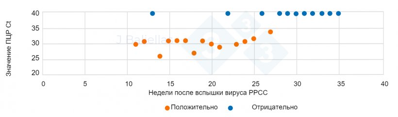 Рисунок 1. Динамика значений ПЦР Ct в течение нескольких недель после вспышки PRRS.
