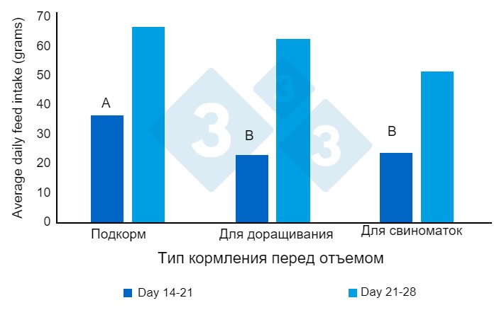 Рисунок 1. Среднесуточное потребление корма&nbsp;(граммы/день) перед отъемом. Адаптировано от&nbsp;Heo et al. (2018). Различные верхние индексы (AB) в столбцах указывают на тенденцию к значительной разнице между методами&nbsp; (P&lt;0,10).
