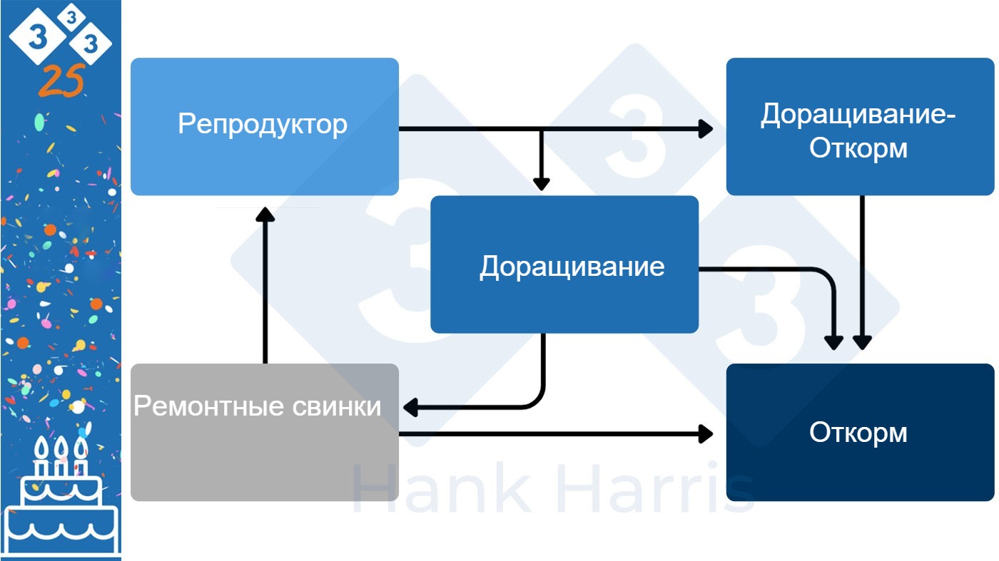 Свиноводство на нескольких площадках: эффект после 25 лет работы - Статьи -  pig333.ru, от фермы к рынку