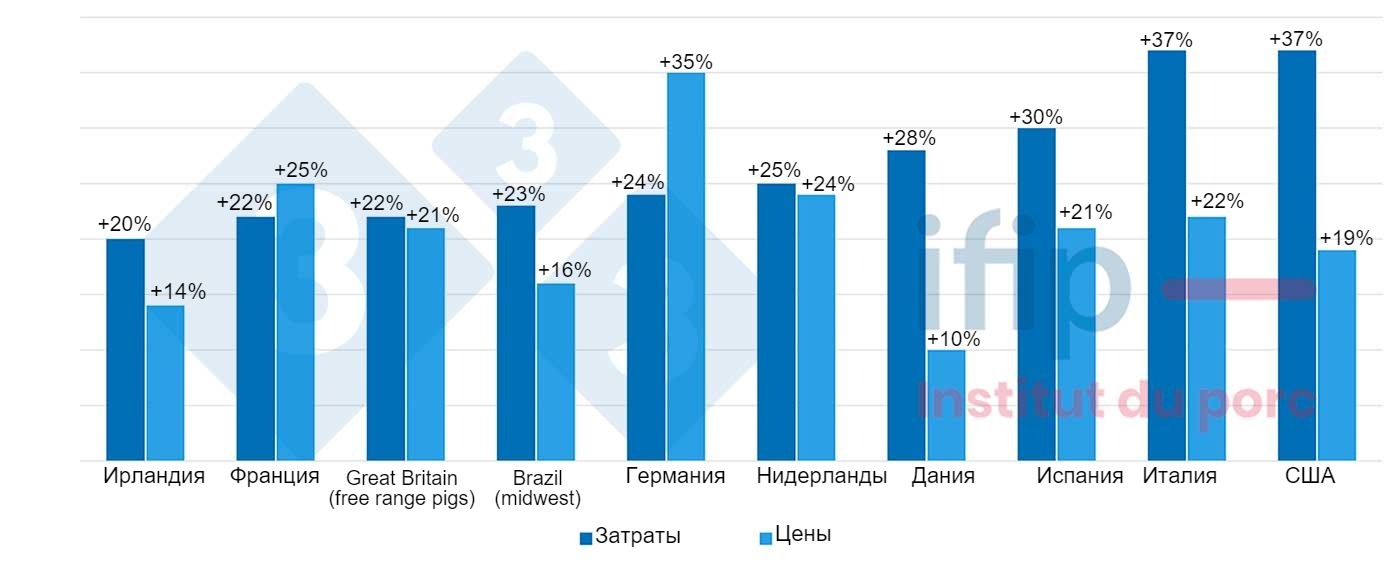 Каковы были затраты на производство свиней в 2022 году? - Статьи -  pig333.ru, от фермы к рынку