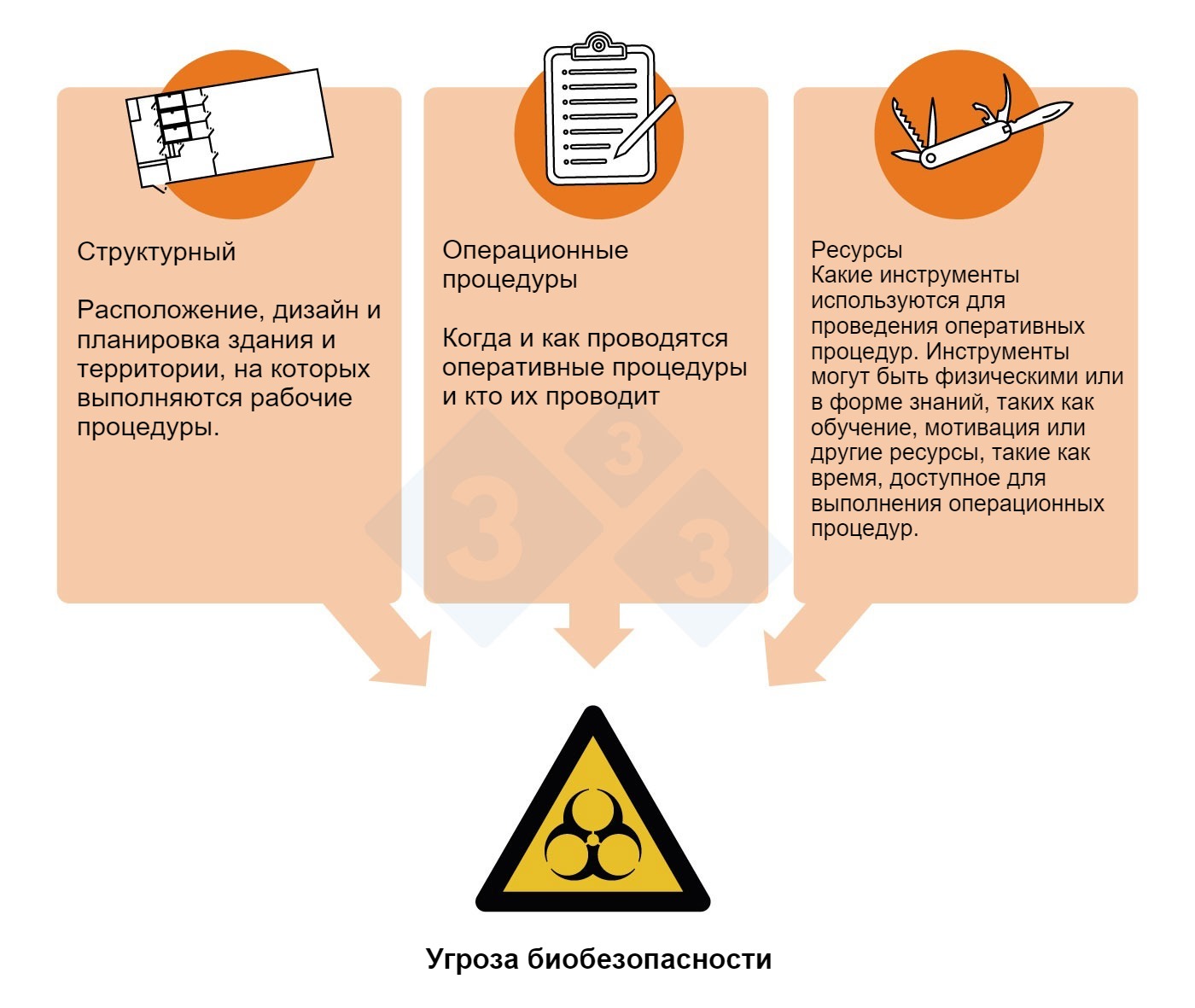 Применение итогов расследования вспышек для улучшения биобезопасности -  Статьи - pig333.ru, от фермы к рынку