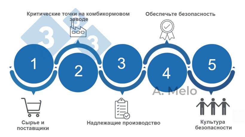 Фото 1. Пять ключевых факторов к созданию безопасных комбикормов
