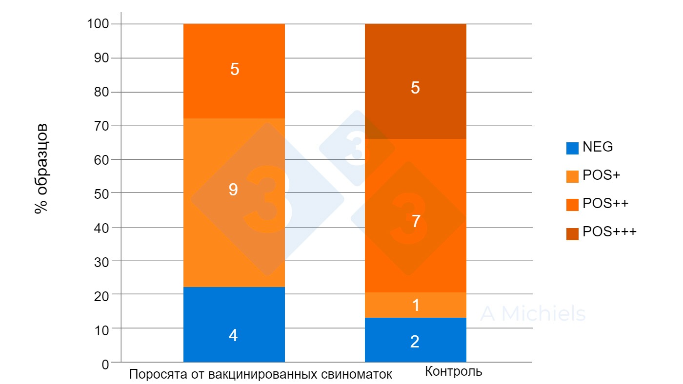 Роль непрогрессивного атрофического ринита у свиней - Статьи - pig333.ru,  от фермы к рынку