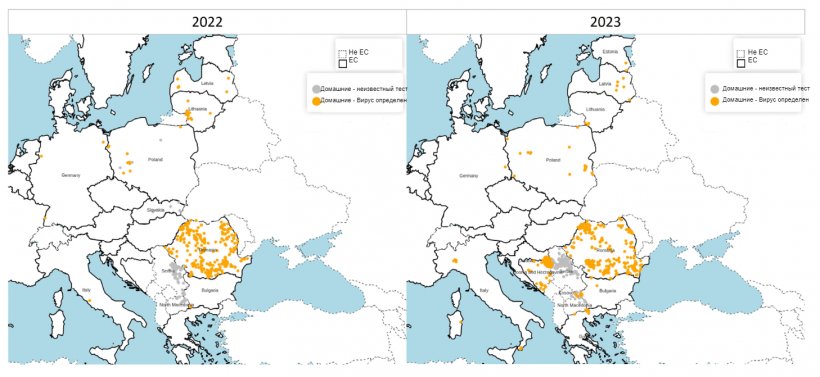 Распределение подтвержденных вспышек АЧС среди домашних свиней в 2022 (слева) и 2023 (справа) гг. Источник: ADIS, на 1 февраля, 2024. &copy; EuroGeographics for administrative boundaries.
