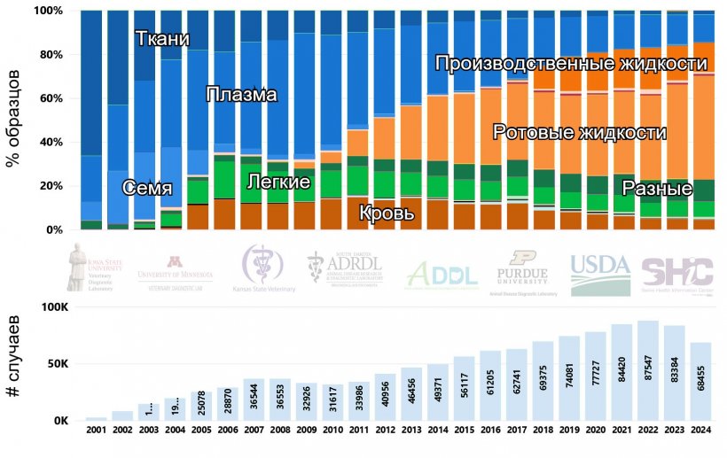 Рисунок 1. Количество случаев и процентное распределение образцов, протестированных на вирус РРСС методом ОТ-ПЦР с течением времени в США (2001-2024). Изображение взято с веб-страницы Системы отчетности о болезнях свиней (SDRS, https://fieldepi.org/domestic-swine-disease-monitoring-program/)
