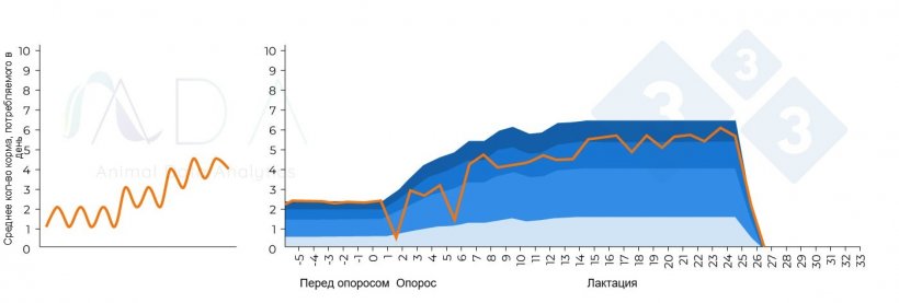 Рисунок 2. Теоретическая измененная модель, связанная с послеродовым маститом, и результаты на практике.
