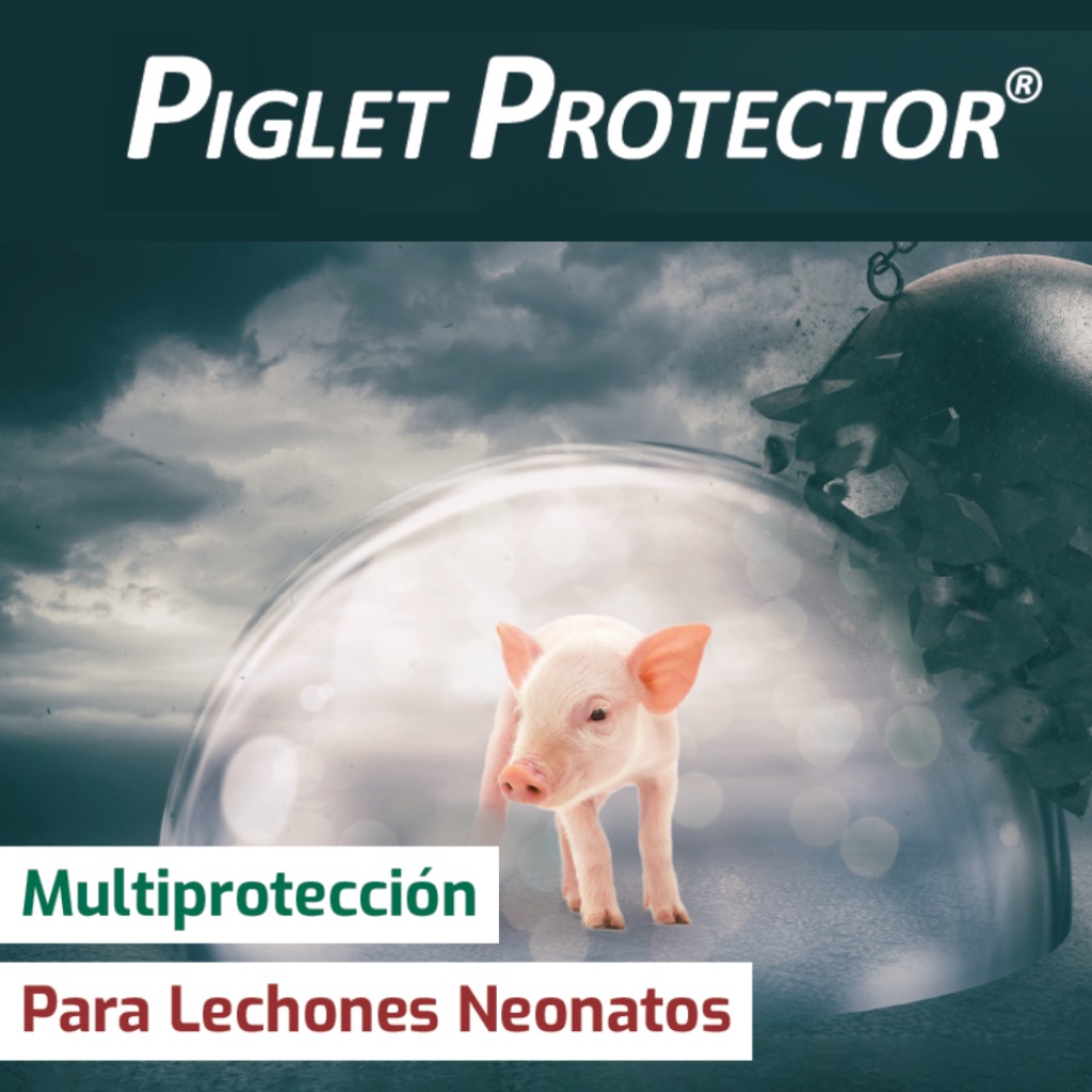 Piglet Protector®