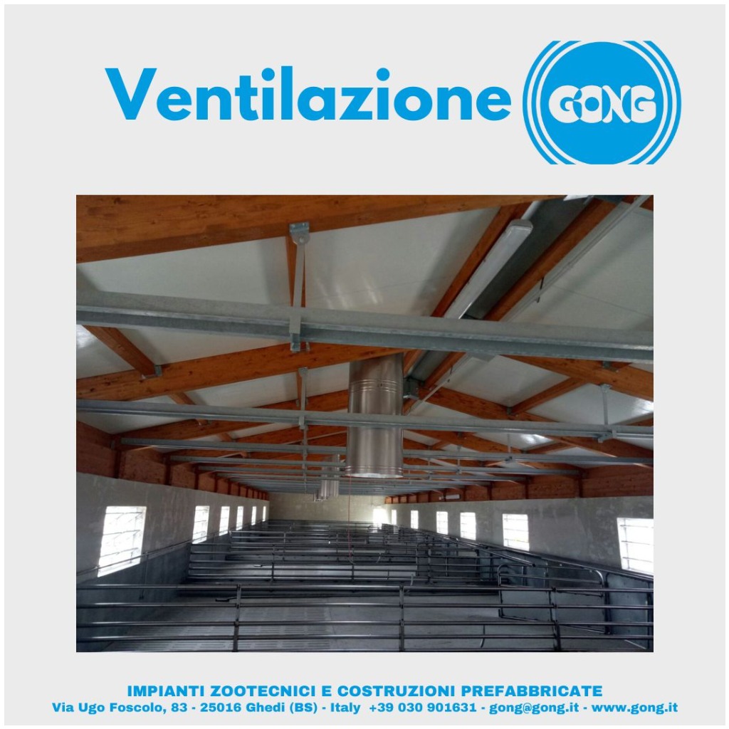 L' Importanza della corretta Ventilazione per il benessere dei suini!