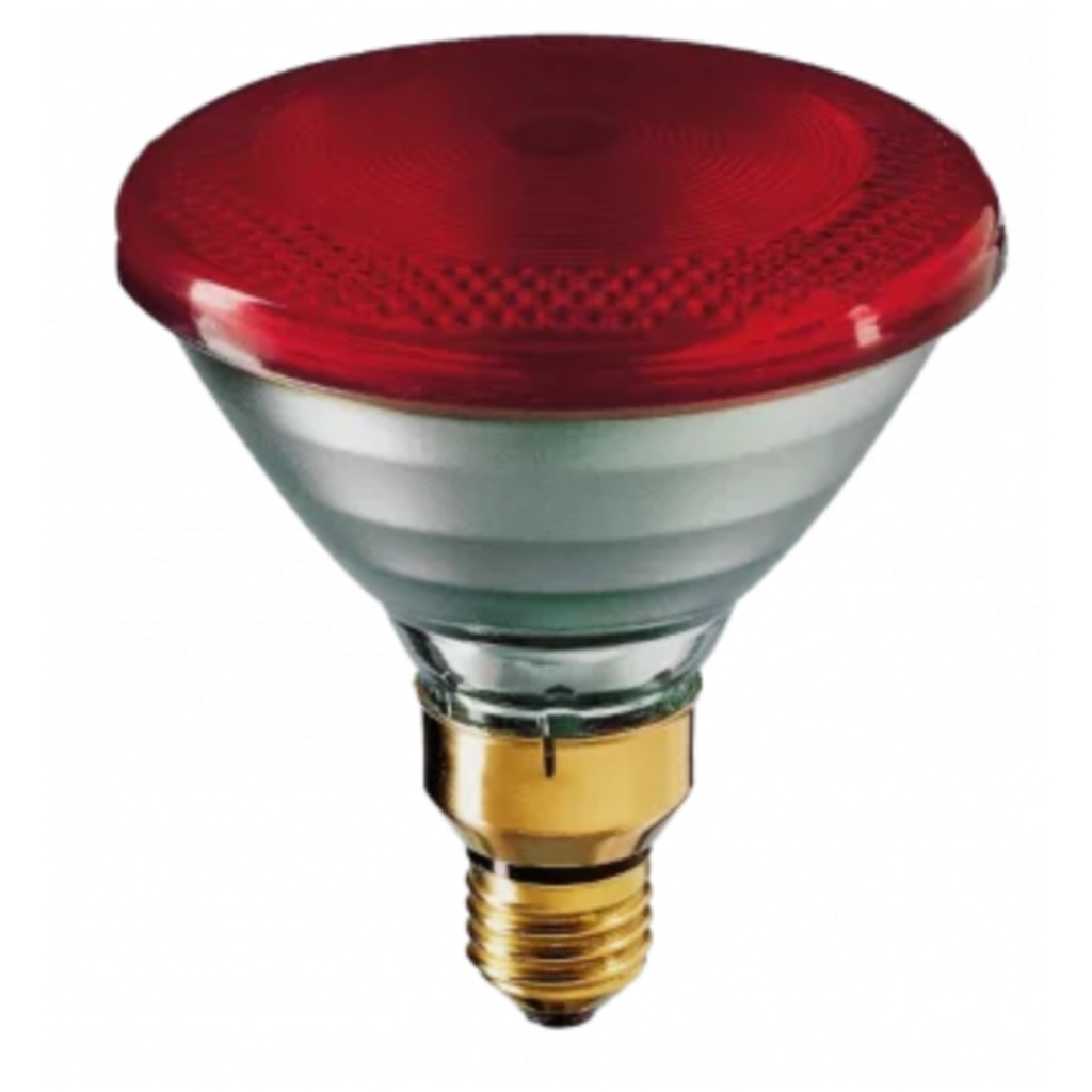 Bombilla infrarroja Philips PAR 100 Watts 1 ud